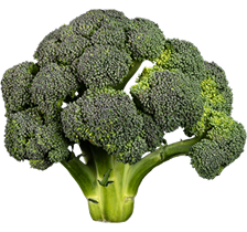 food images